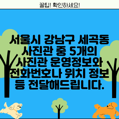 서울시 강남구 세곡동 사진관 중 5개의 사진관 운영정보와 전화번호나 위치 정보 등 전달해드립니다.