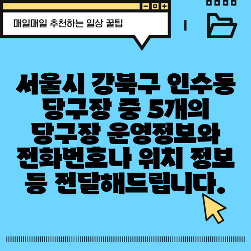 서울시 강북구 인수동 당구장 중 5개의 당구장 운영정보와 전화번호나 위치 정보 등 전달해드립니다.