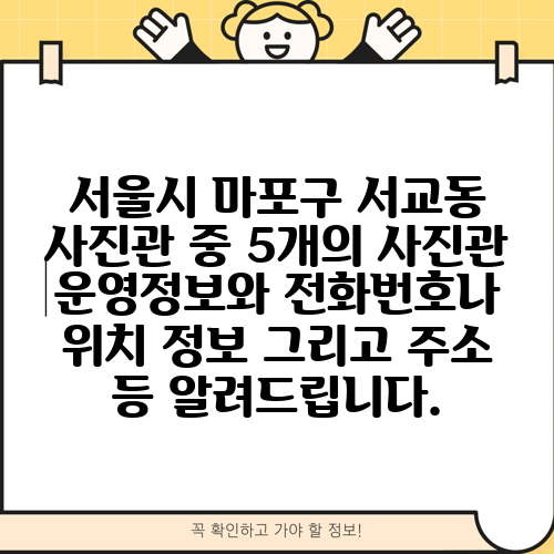서울시 마포구 서교동 사진관 중 5개의 사진관 운영정보와 전화번호나 위치 정보 그리고 주소 등 알려드립니다.