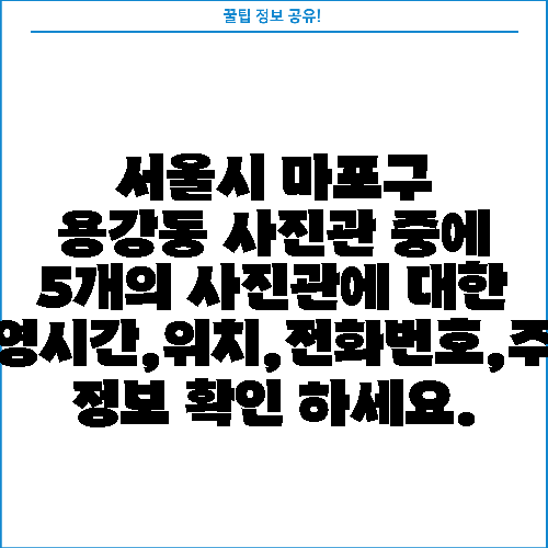 서울시 마포구 용강동 사진관 중에 5개의 사진관에 대한 운영시간,위치,전화번호,주소 정보 확인 하세요.