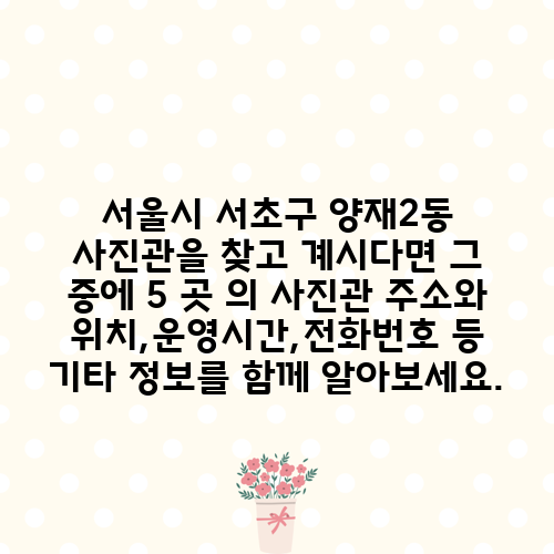 서울시 서초구 양재2동 사진관을 찾고 계시다면 그 중에 5 곳 의 사진관 주소와 위치,운영시간,전화번호 등 기타 정보를 함께 알아보세요.
