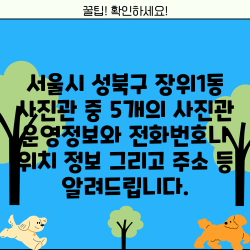 서울시 성북구 장위1동 사진관 중 5개의 사진관 운영정보와 전화번호나 위치 정보 그리고 주소 등 알려드립니다.