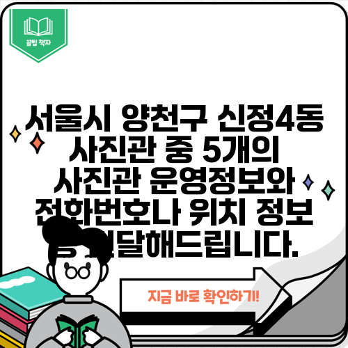 서울시 양천구 신정4동 사진관 중 5개의 사진관 운영정보와 전화번호나 위치 정보 등 전달해드립니다.
