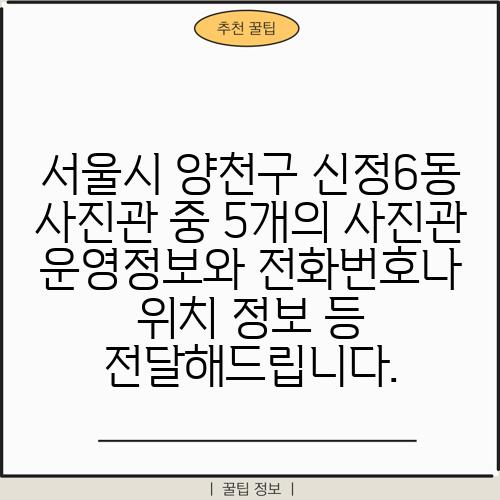 서울시 양천구 신정6동 사진관 중 5개의 사진관 운영정보와 전화번호나 위치 정보 등 전달해드립니다.