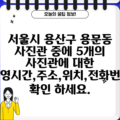 서울시 용산구 용문동 사진관 중에 5개의 사진관에 대한 운영시간,주소,위치,전화번호 확인 하세요.