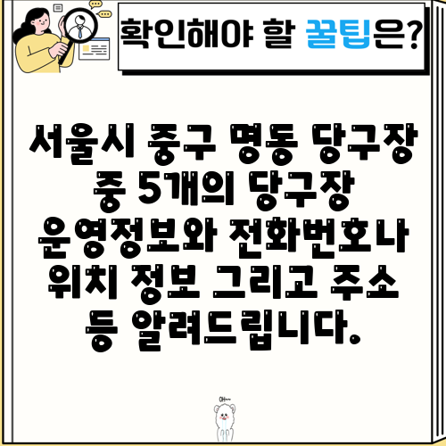 서울시 중구 명동 당구장 중 5개의 당구장 운영정보와 전화번호나 위치 정보 그리고 주소 등 알려드립니다.