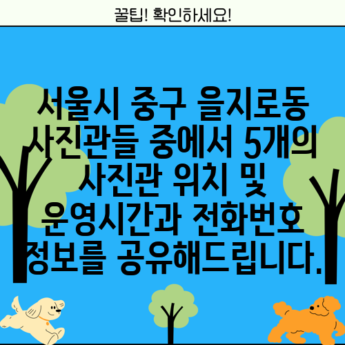 서울시 중구 을지로동 사진관들 중에서 5개의 사진관 위치 및 운영시간과 전화번호 정보를 공유해드립니다.