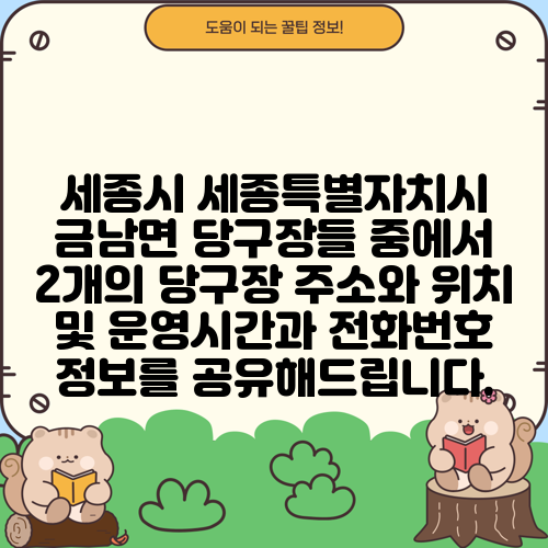 세종시 세종특별자치시 금남면 당구장들 중에서 2개의 당구장 주소와 위치 및 운영시간과 전화번호 정보를 공유해드립니다.