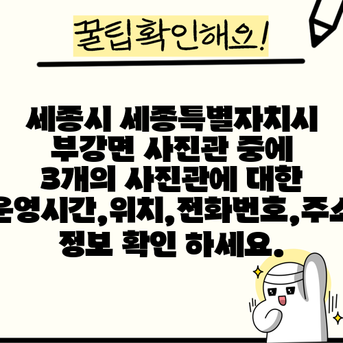 세종시 세종특별자치시 부강면 사진관 중에 3개의 사진관에 대한 운영시간,위치,전화번호,주소 정보 확인 하세요.