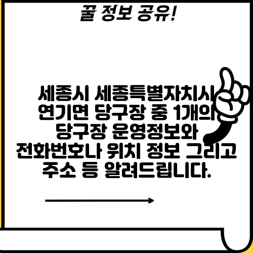 세종시 세종특별자치시 연기면 당구장 중 1개의 당구장 운영정보와 전화번호나 위치 정보 그리고 주소 등 알려드립니다.