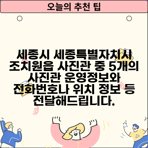 세종시 세종특별자치시 조치원읍 사진관 중 5개의 사진관 운영정보와 전화번호나 위치 정보 등 전달해드립니다.