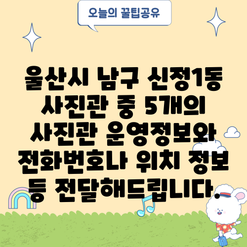 울산시 남구 신정1동 사진관 중 5개의 사진관 운영정보와 전화번호나 위치 정보 등 전달해드립니다.