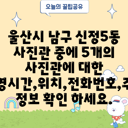 울산시 남구 신정5동 사진관 중에 5개의 사진관에 대한 운영시간,위치,전화번호,주소 정보 확인 하세요.