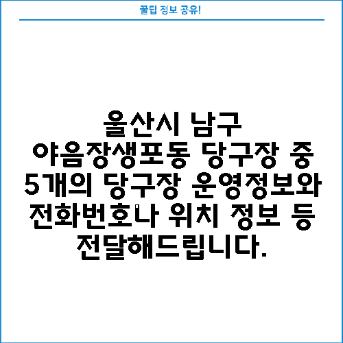 울산시 남구 야음장생포동 당구장 중 5개의 당구장 운영정보와 전화번호나 위치 정보 등 전달해드립니다.