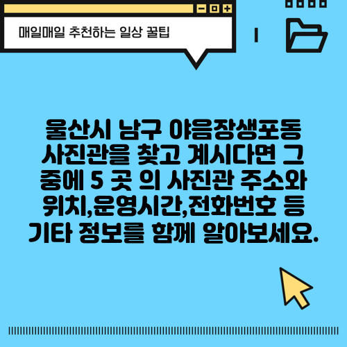 울산시 남구 야음장생포동 사진관을 찾고 계시다면 그 중에 5 곳 의 사진관 주소와 위치,운영시간,전화번호 등 기타 정보를 함께 알아보세요.