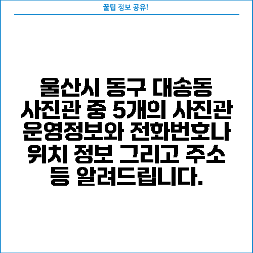 울산시 동구 대송동 사진관 중 5개의 사진관 운영정보와 전화번호나 위치 정보 그리고 주소 등 알려드립니다.