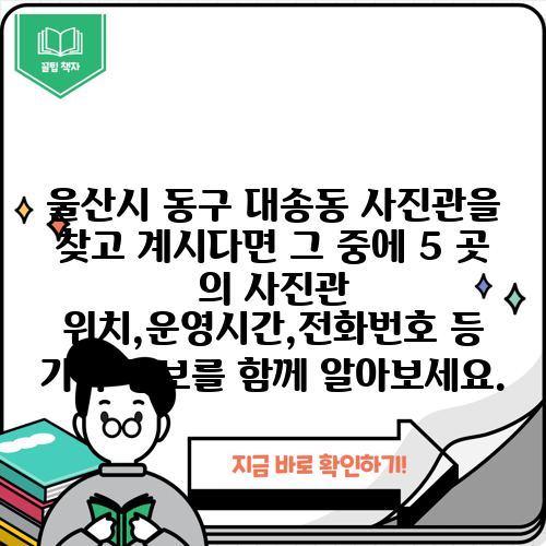 울산시 동구 대송동 사진관을 찾고 계시다면 그 중에 5 곳 의 사진관 위치,운영시간,전화번호 등 기타 정보를 함께 알아보세요.