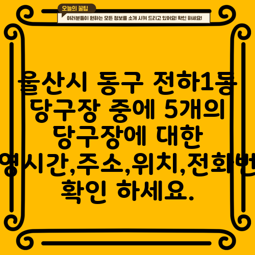 울산시 동구 전하1동 당구장 중에 5개의 당구장에 대한 운영시간,주소,위치,전화번호 확인 하세요.