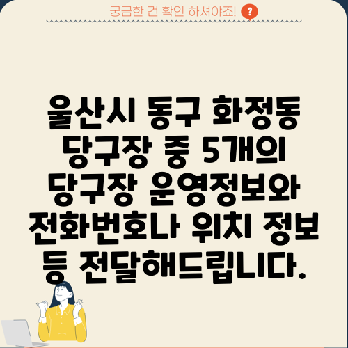 울산시 동구 화정동 당구장 중 5개의 당구장 운영정보와 전화번호나 위치 정보 등 전달해드립니다.