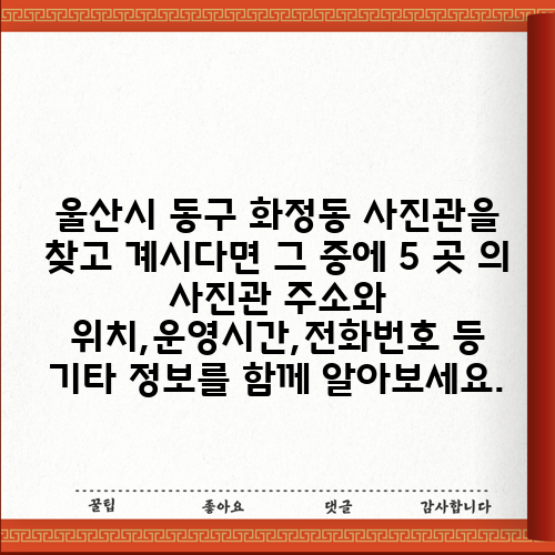울산시 동구 화정동 사진관을 찾고 계시다면 그 중에 5 곳 의 사진관 주소와 위치,운영시간,전화번호 등 기타 정보를 함께 알아보세요.