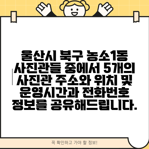 울산시 북구 농소1동 사진관들 중에서 5개의 사진관 주소와 위치 및 운영시간과 전화번호 정보를 공유해드립니다.