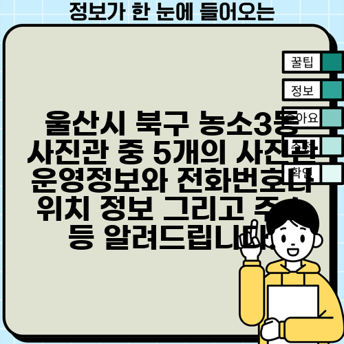 울산시 북구 농소3동 사진관 중 5개의 사진관 운영정보와 전화번호나 위치 정보 그리고 주소 등 알려드립니다.
