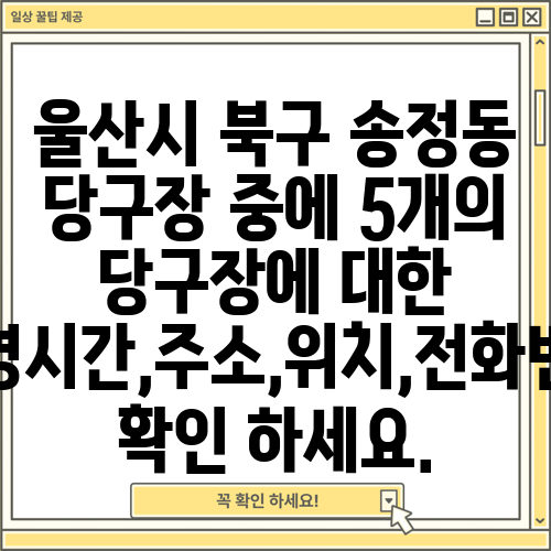 울산시 북구 송정동 당구장 중에 5개의 당구장에 대한 운영시간,주소,위치,전화번호 확인 하세요.