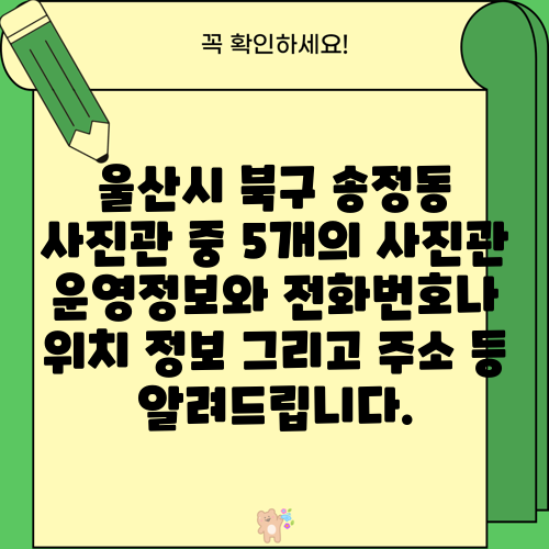 울산시 북구 송정동 사진관 중 5개의 사진관 운영정보와 전화번호나 위치 정보 그리고 주소 등 알려드립니다.