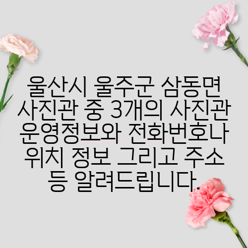 울산시 울주군 삼동면 사진관 중 3개의 사진관 운영정보와 전화번호나 위치 정보 그리고 주소 등 알려드립니다.