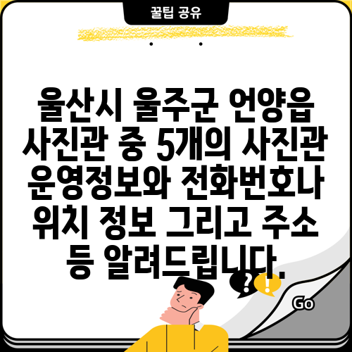 울산시 울주군 언양읍 사진관 중 5개의 사진관 운영정보와 전화번호나 위치 정보 그리고 주소 등 알려드립니다.