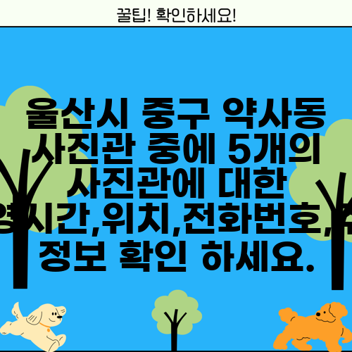 울산시 중구 약사동 사진관 중에 5개의 사진관에 대한 운영시간,위치,전화번호,주소 정보 확인 하세요.