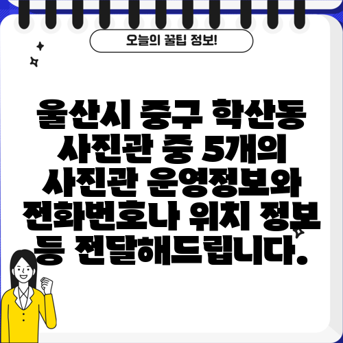 울산시 중구 학산동 사진관 중 5개의 사진관 운영정보와 전화번호나 위치 정보 등 전달해드립니다.