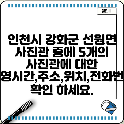 인천시 강화군 선원면 사진관 중에 5개의 사진관에 대한 운영시간,주소,위치,전화번호 확인 하세요.