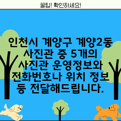 인천시 계양구 계양2동 사진관 중 5개의 사진관 운영정보와 전화번호나 위치 정보 등 전달해드립니다.