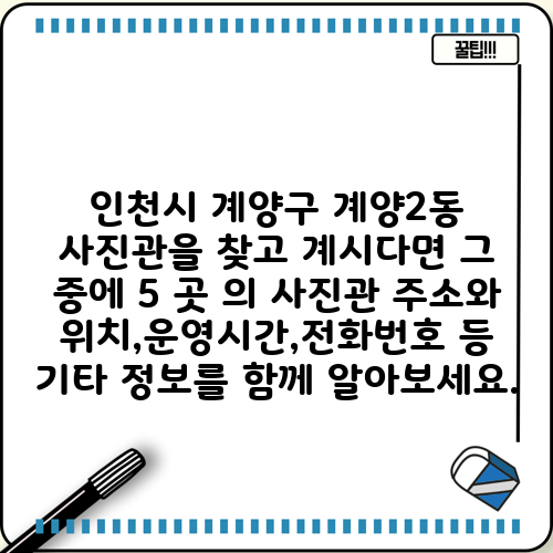 인천시 계양구 계양2동 사진관을 찾고 계시다면 그 중에 5 곳 의 사진관 주소와 위치,운영시간,전화번호 등 기타 정보를 함께 알아보세요.