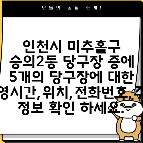 인천시 미추홀구 숭의2동 당구장 중에 5개의 당구장에 대한 운영시간,위치,전화번호,주소 정보 확인 하세요.