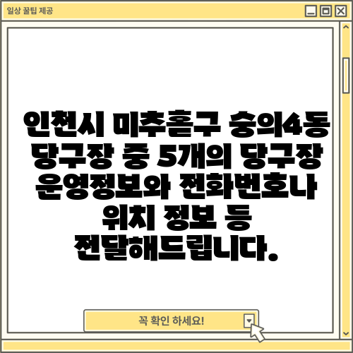 인천시 미추홀구 숭의4동 당구장 중 5개의 당구장 운영정보와 전화번호나 위치 정보 등 전달해드립니다.
