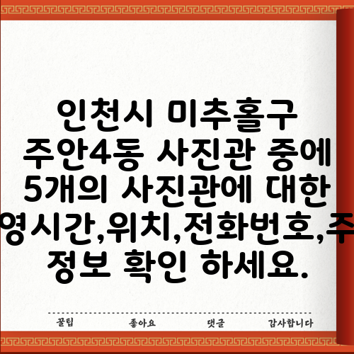 인천시 미추홀구 주안4동 사진관 중에 5개의 사진관에 대한 운영시간,위치,전화번호,주소 정보 확인 하세요.