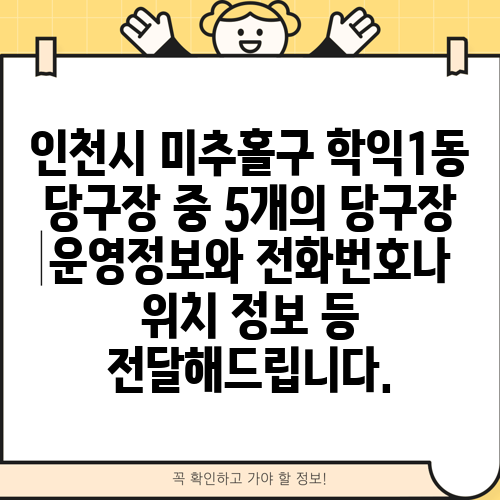 인천시 미추홀구 학익1동 당구장 중 5개의 당구장 운영정보와 전화번호나 위치 정보 등 전달해드립니다.