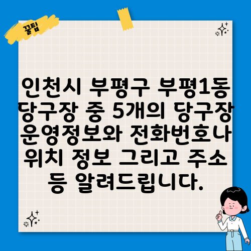 인천시 부평구 부평1동 당구장 중 5개의 당구장 운영정보와 전화번호나 위치 정보 그리고 주소 등 알려드립니다.