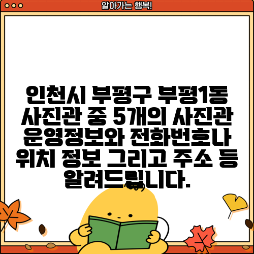 인천시 부평구 부평1동 사진관 중 5개의 사진관 운영정보와 전화번호나 위치 정보 그리고 주소 등 알려드립니다.
