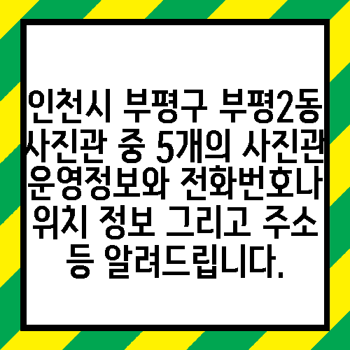 인천시 부평구 부평2동 사진관 중 5개의 사진관 운영정보와 전화번호나 위치 정보 그리고 주소 등 알려드립니다.