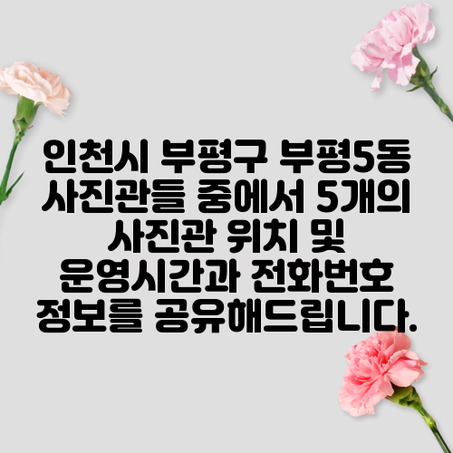 인천시 부평구 부평5동 사진관들 중에서 5개의 사진관 위치 및 운영시간과 전화번호 정보를 공유해드립니다.