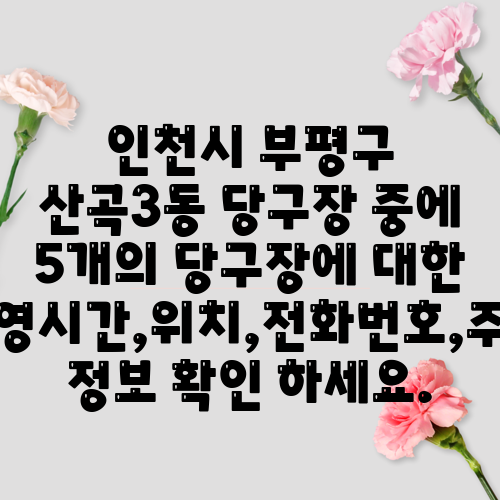 인천시 부평구 산곡3동 당구장 중에 5개의 당구장에 대한 운영시간,위치,전화번호,주소 정보 확인 하세요.