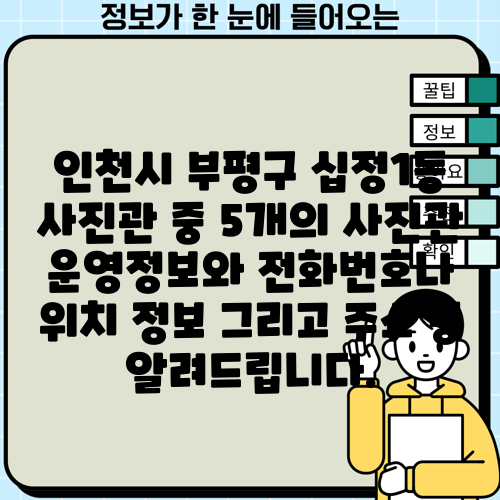 인천시 부평구 십정1동 사진관 중 5개의 사진관 운영정보와 전화번호나 위치 정보 그리고 주소 등 알려드립니다.