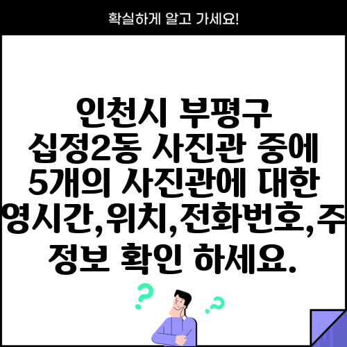 인천시 부평구 십정2동 사진관 중에 5개의 사진관에 대한 운영시간,위치,전화번호,주소 정보 확인 하세요.