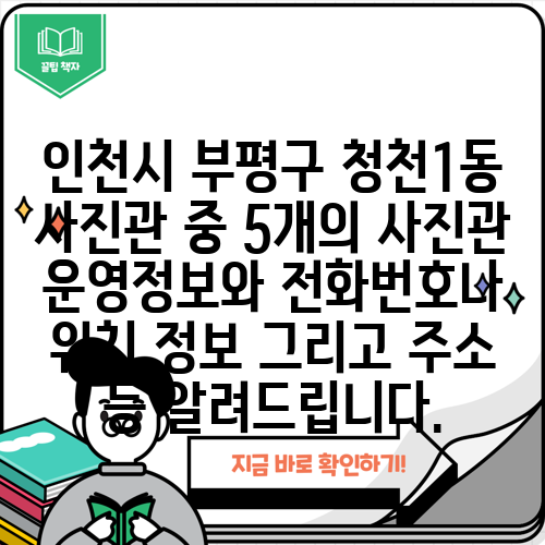 인천시 부평구 청천1동 사진관 중 5개의 사진관 운영정보와 전화번호나 위치 정보 그리고 주소 등 알려드립니다.