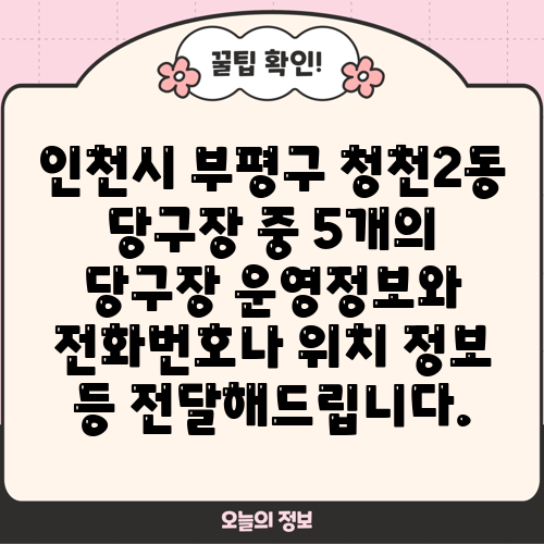 인천시 부평구 청천2동 당구장 중 5개의 당구장 운영정보와 전화번호나 위치 정보 등 전달해드립니다.