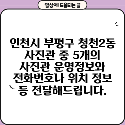 인천시 부평구 청천2동 사진관 중 5개의 사진관 운영정보와 전화번호나 위치 정보 등 전달해드립니다.