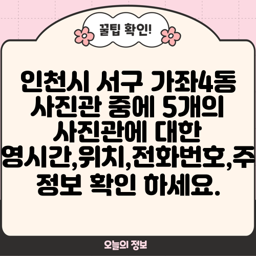 인천시 서구 가좌4동 사진관 중에 5개의 사진관에 대한 운영시간,위치,전화번호,주소 정보 확인 하세요.